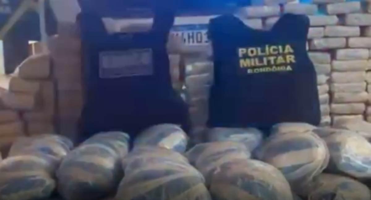 Forças de segurança apreendem aproximadamente 250 quilos de skunk em São Francisco do Guaporé