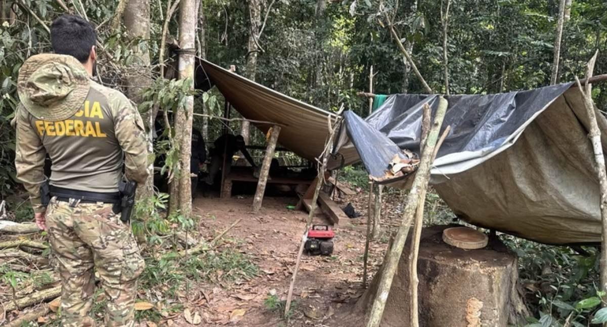 Polícia Federal deflagra Operação Linha do Mato e combate extração ilegal de madeira em terra indígena em Rondônia