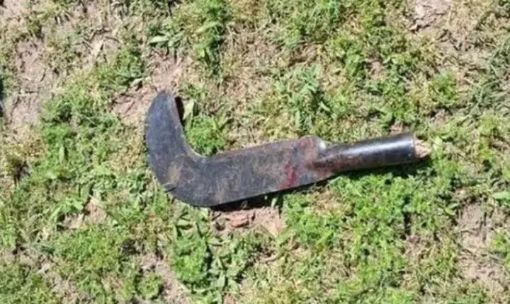 Discussão entre vizinhos encerra com homem ferido por golpes de foice em RO