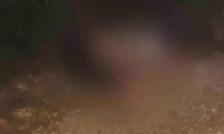 Mulher morre em colisão frontal entre moto e caminhonete na BR-364